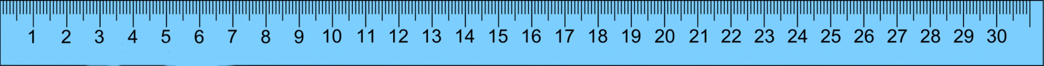 Ruler (mm scale)