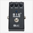 Other/unknown ZCAT Big Reverb TI
