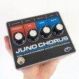 Other/unknown Juno Chorus