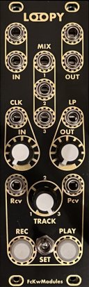 Eurorack Module Loopy from Other/unknown