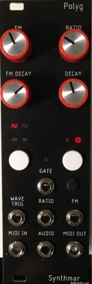 Eurorack Module Polyg  from Other/unknown