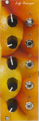Eurorack Module Life Oranges from Other/unknown