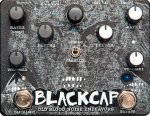 Old Blood Noise Blackcap