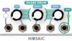 Mosaic Snare Drum (White Panel)