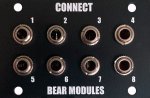 BearModules CONNECT 1U