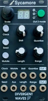 Eurorack Module Sycamore from Divergent Waves