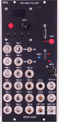 MU Module GMS-1340 Polywav Player from Grove Audio