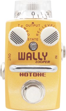 Pedals Module Wally from Hotone