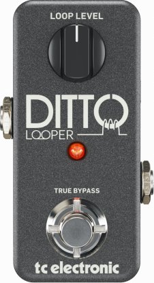 Pedals Module Ditto Looper from TC Electronic