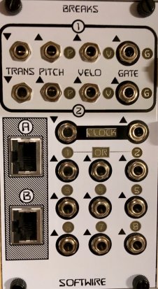 Eurorack Module BSP Break from Softwire Synthesis