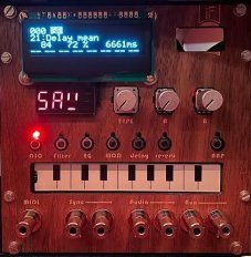Eurorack Module NTS-1 EuroWood (w/ Expert Sleepers display option) from Other/unknown