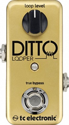 Pedals Module Ditto Gold from TC Electronic