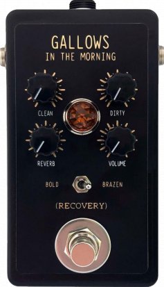Pedals Module Gallows in the Morning from Recovery Effects and Devices