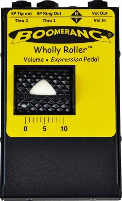 Pedals Module Wholly Roller from Boomerang Musical Products