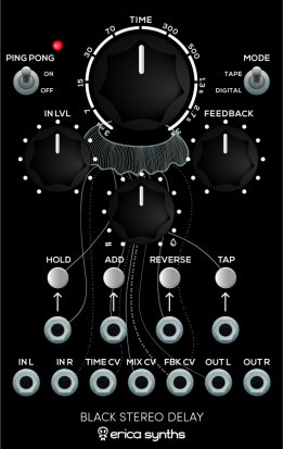 Eurorack Module Black Stereo Delay from Erica Synths