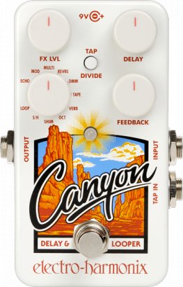 Pedals Module Canyon from Electro-Harmonix