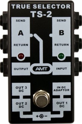 Pedals Module TS-2 True Selector from AMT