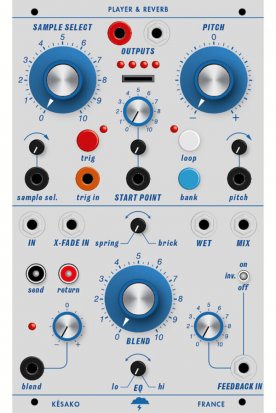Buchla Module Scrotum Labs - Késako - Player & Reverb from Other/unknown