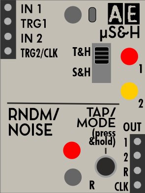 AE Modular Module µS&H/RANDOM/NOISE from Tangible Waves
