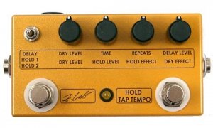 Pedals Module ZCAT Hold Delay Chorus from Other/unknown
