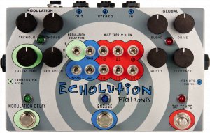 Pedals Module Echolution 1 from Pigtronix