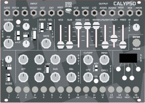 Eurorack Module CALYPSO from Rides in the Storm