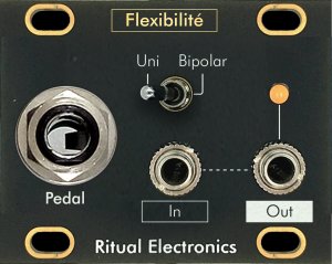 Eurorack Module Flexibilité from Ritual Electronics