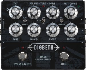 Pedals Module Digbeth from Laney