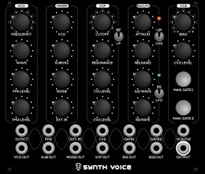 Eurorack Module Synth Voice from Erica Synths