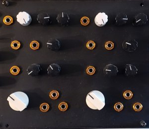 Eurorack Module Dual Ian Fritz Threeler Filter from Other/unknown