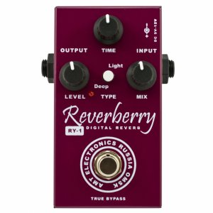 Pedals Module RY-1 Reverberry from AMT