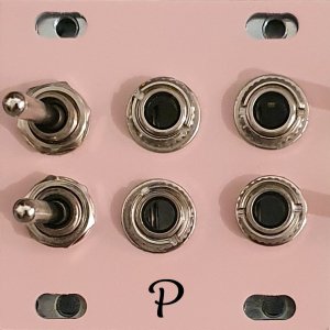 Eurorack Module P-1 Double Mute 1U (rose limited 50) from Other/unknown