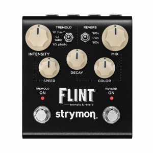 Pedals Module Flint MK2 from Strymon