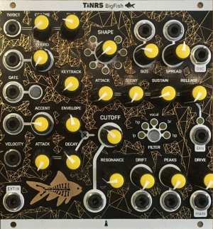 Eurorack Module BigFish from This is Not Rocket Science