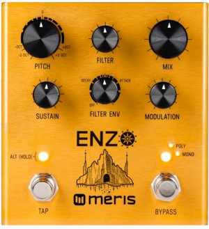 Pedals Module Enzo from Meris