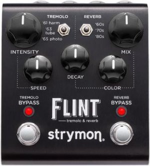 Pedals Module Flint from Strymon