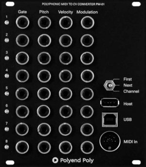 Eurorack Module Poly from Polyend