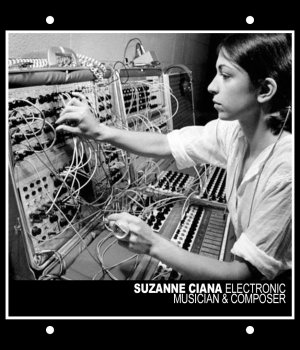 Frac Module Suzanne Ciani Blank Panel from Other/unknown
