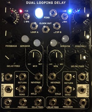 Eurorack Module Dual Looping Delay (Magpie Modular Panel) from Other/unknown
