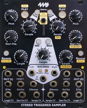 Eurorack Module STS - Black Panel  from 4ms Company