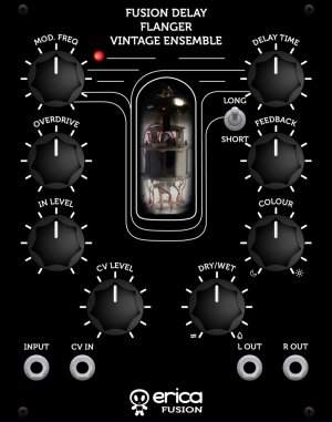 Eurorack Module Fusion Delay/Flanger/Vintage Ensemble from Erica Synths