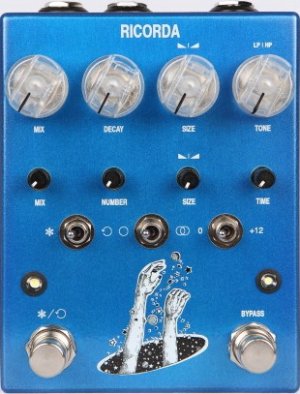 Pedals Module Ricorda from AC Noises