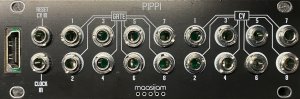 Eurorack Module Maasijam Pippi from Other/unknown