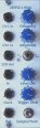 Liivatera Sample & Hold + LFO