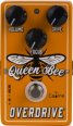 Caline CP-503 Queen Bee