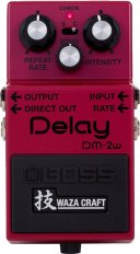 Pedals Module DM-2W Delay from Boss