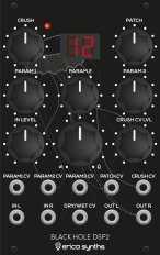 Eurorack Module Black Hole DSP2 from Erica Synths