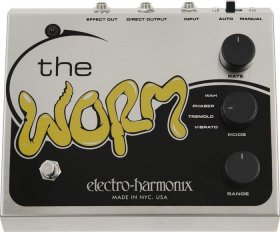 The Worm V1