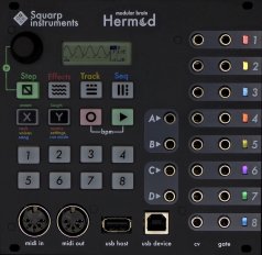 Eurorack Module Hermod (Black Panel) from Squarp Instruments