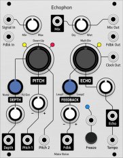 Make Noise Echophon (Grayscale panel)